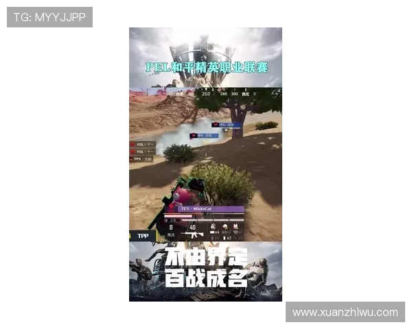 和平精英战队TES的荣耀之路与突破历程全景纪实