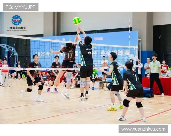 广州排球队迎来速度革命引发热议与关注