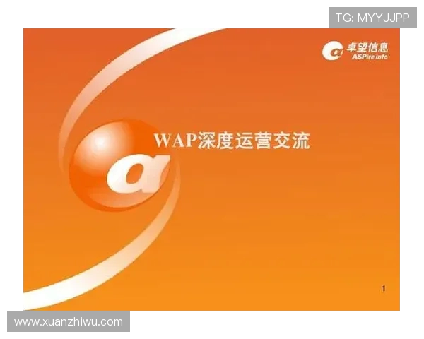 南京飞盘队运营策略深度分析与成功经验分享