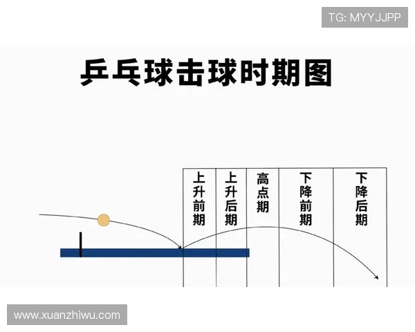 杭州乒乓球队反击战术解析与实战应用探讨